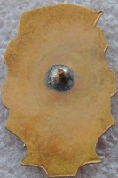 Badge  