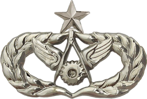 Нагрудный знак Старший специалист службы гражданских инженеров Нагрудный знак Старший специалист службы гражданских инженеров