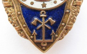 Нагрудный знак Отличный понтонер 