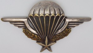 Нагрудный знак Парашютист 
