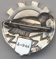 Нагрудный знак 309 школа г. Шембер 