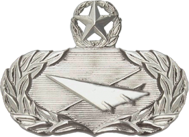 Нагрудный знак Мастер исторической службы 