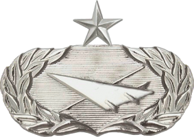 Нагрудный знак Старший специалист исторической службы  