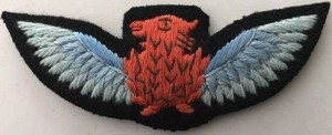Badge Pilot 