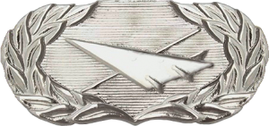 Нагрудный знак Специалист исторической службы  