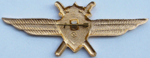 Нагрудный знак Летчик без класса  