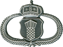 Badge Air traffic control 