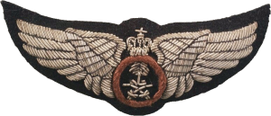 Нагрудный знак Пилот  