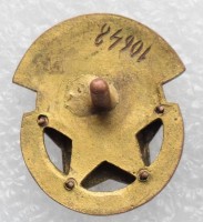 Badge  