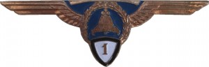 Badge Helicopter pilot 1st class 