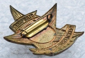Нагрудный знак Отличник санитарной обороны 