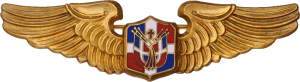 Badge Pilot 