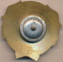 Нагрудный знак Подводник России  