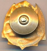 Нагрудный знак АПЛ 1986 год 