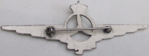 Badge Tehnician 