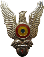 Badge Pilot 1 class 