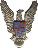 Badge Pilot 