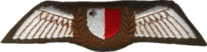 Badge Pilot 