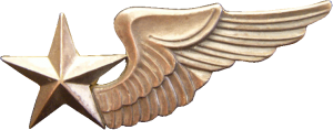 Badge Cadet-pilot 