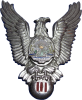 Badge Pilot 3rd class Badge Pilot 3rd class