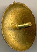 Нагрудный знак Второй разряд, конькобежный спорт, женщины 