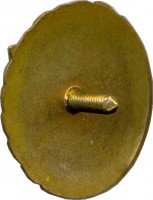Нагрудный знак Третий разряд, Гимнастика, брусья, мужчины 