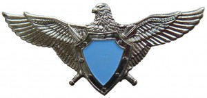 Нагрудный знак Летчик без класса  