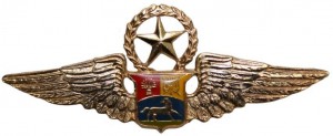 Badge Master pilot 