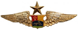 Нагрудный знак Старший пилот   