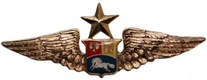 Нагрудный знак Старший пилот   