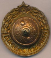 Нагрудный знак Первый разряд прыжки c шестом 