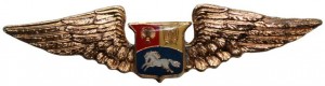 Нагрудный знак Пилот  