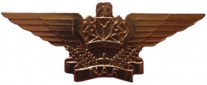 Нагрудный знак Пилот  