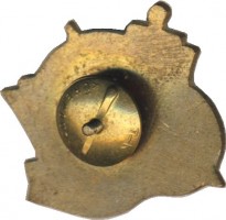 Нагрудный знак 20 лет СКР-60 Лиинахамари 1956-1976 