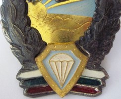 Нагрудный знак Парашютист 