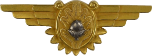 Badge Naval Flight Surgeon 