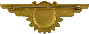 Badge Naval Flight Surgeon 