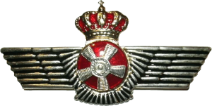 Нагрудный знак Авиатехник  