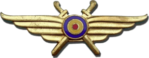 Нагрудный знак Пилот 