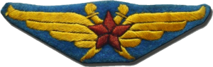 Нагрудный знак Пилот  