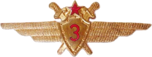 Нагрудный знак Пилот 3 класса  