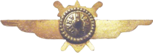 Нагрудный знак Пилот 3 класса  