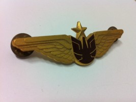 Нагрудный знак EXPRESS AIRLINESEXPRESS AIRLINES 