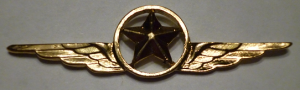 Badge Security service 