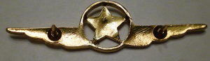 Badge Security service 