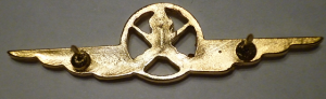 Badge Weapon service specialist 