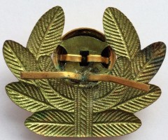 Нагрудный знак Кокарда офицерская ВВС 