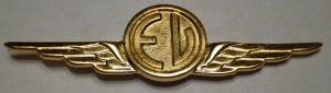 Badge Air crew member 