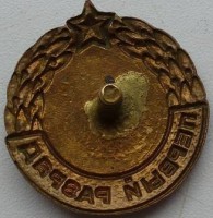 Нагрудный знак 1 разряд по стрельбе 