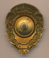Нагрудный знак ВМедА магистратура  